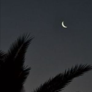 Meet your Posher, Rafael a